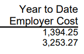 year to date employer retirement contributions