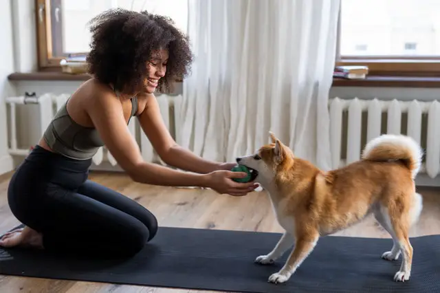 Do a workout or play with your dog for exercise