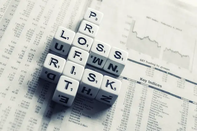 profit loss risk factors in investing