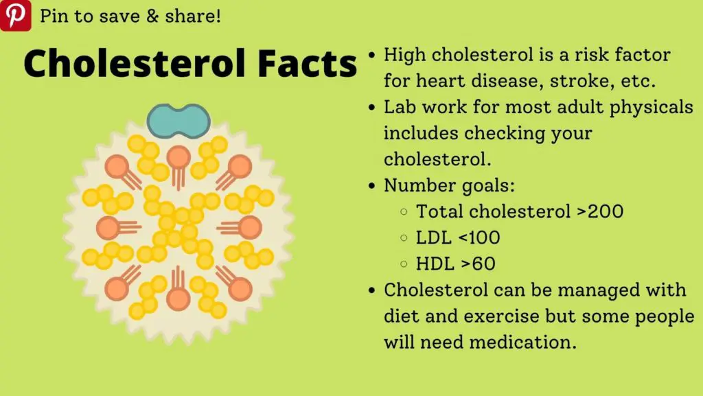 Cholesterol Infographic 1024x577 