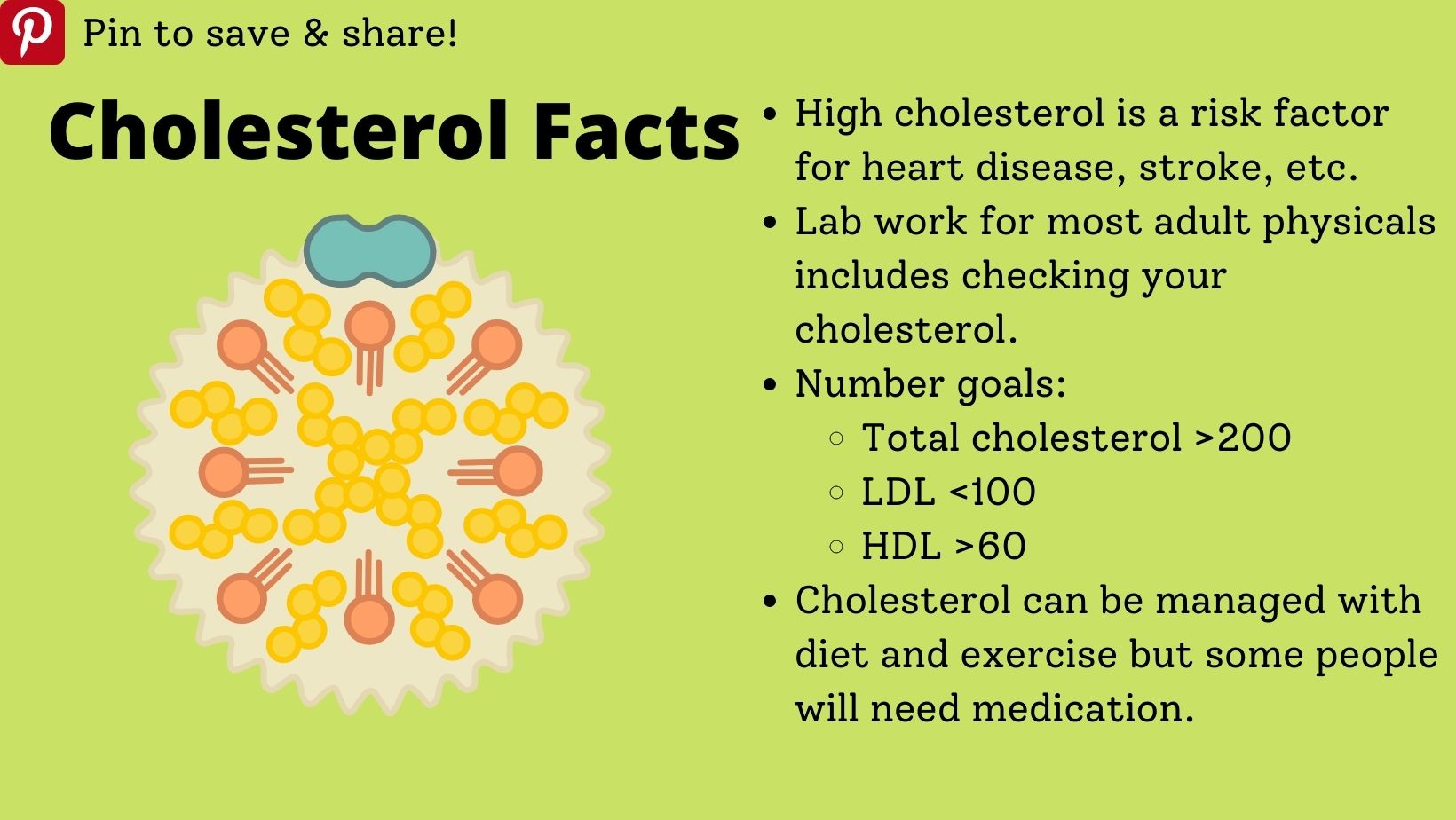 cholesterol infographic with information on what cholesterol values are and how to improve them